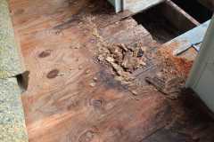 Water damage to decking and plywood.